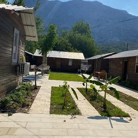 Lime Tree Houses *